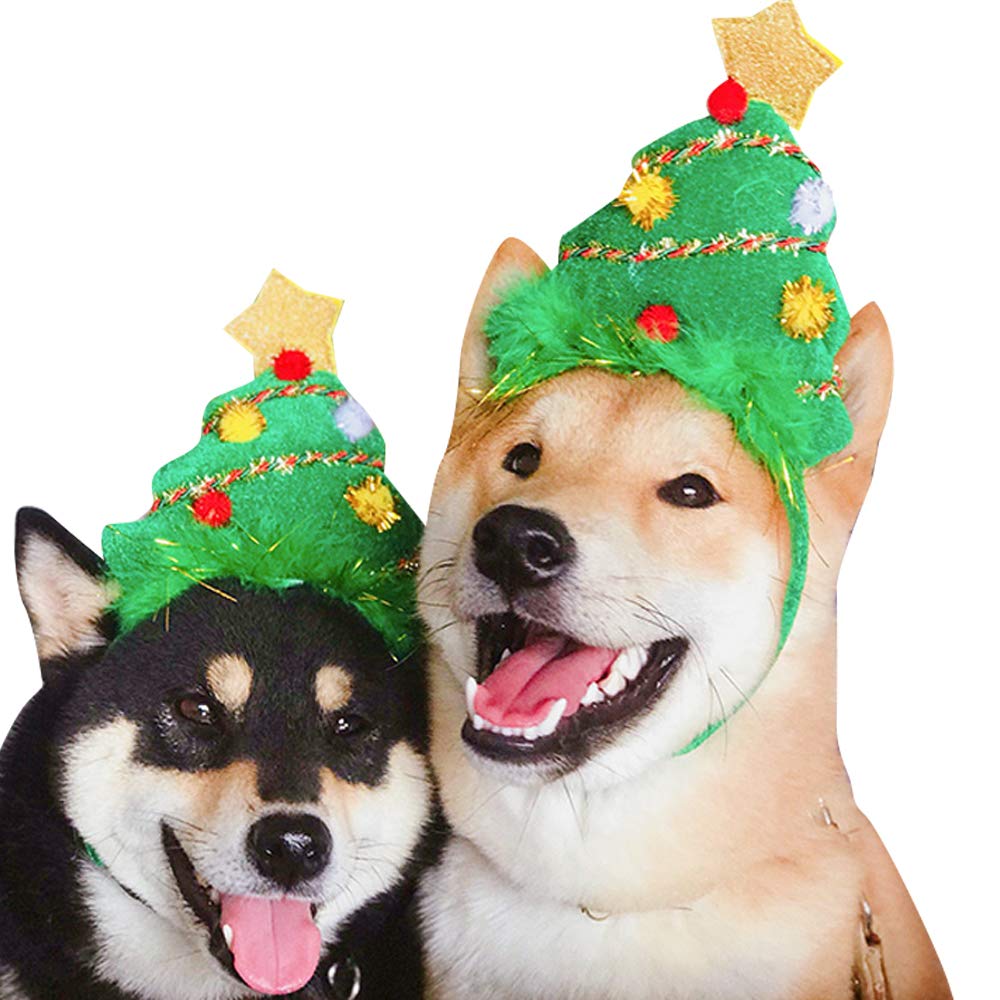 christmas outfits for your dog