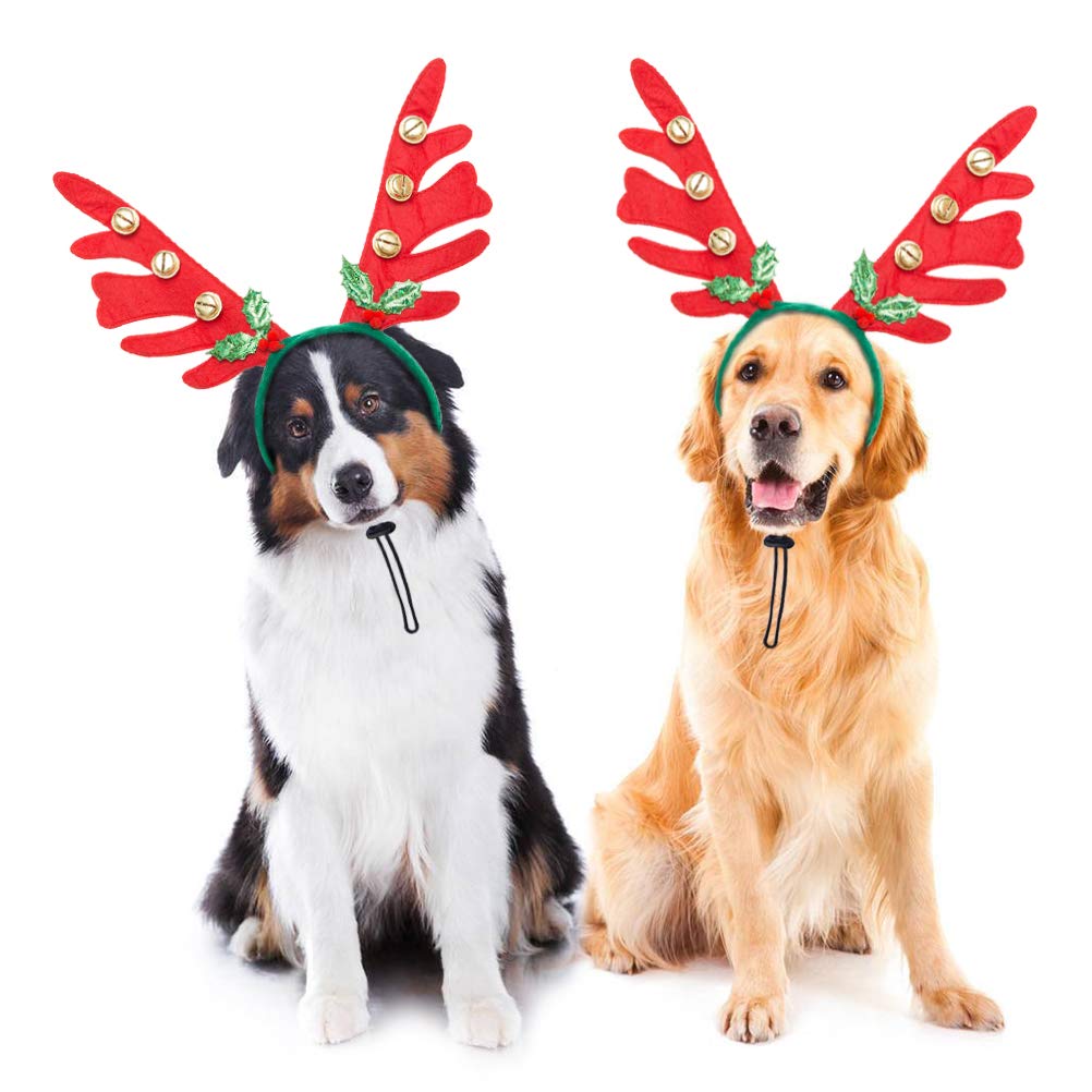 christmas outfits for your dog