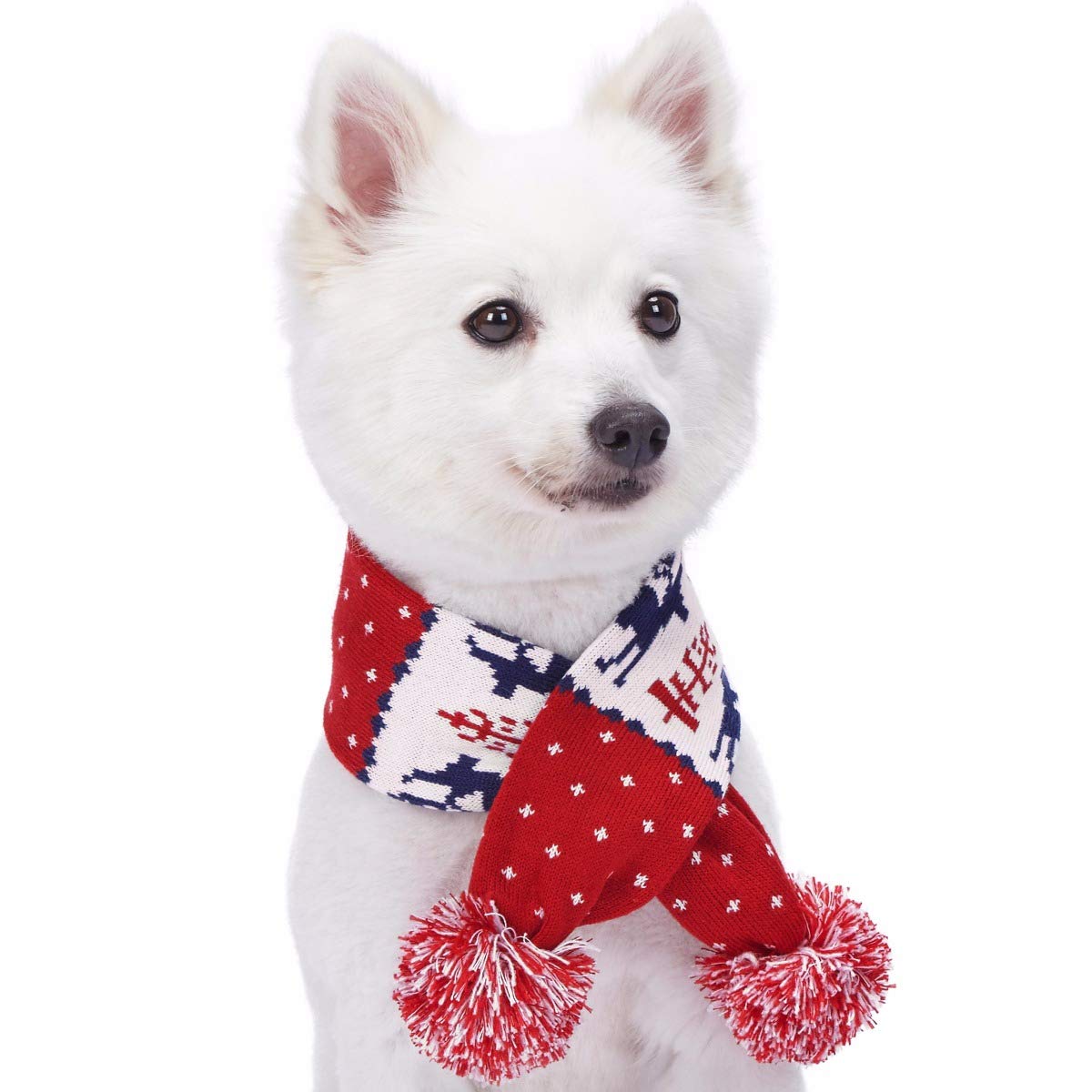 The Cutest Christmas Outfits for Your Dog