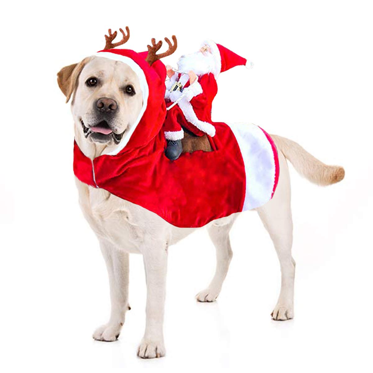 The Cutest Christmas Outfits for Your Dog